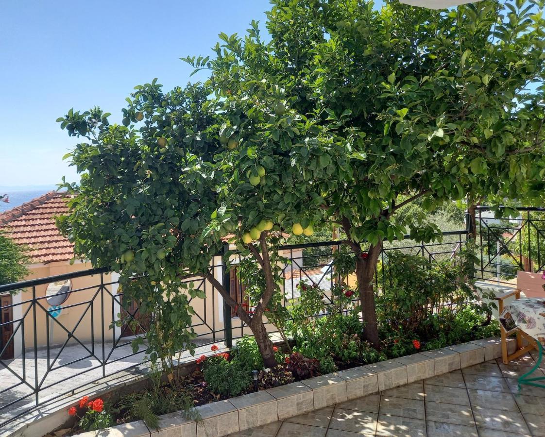 Πηλιο- Το Εξοχικο Τησ Αννασ- Αφησσοσ Villa Афисос Екстериор снимка