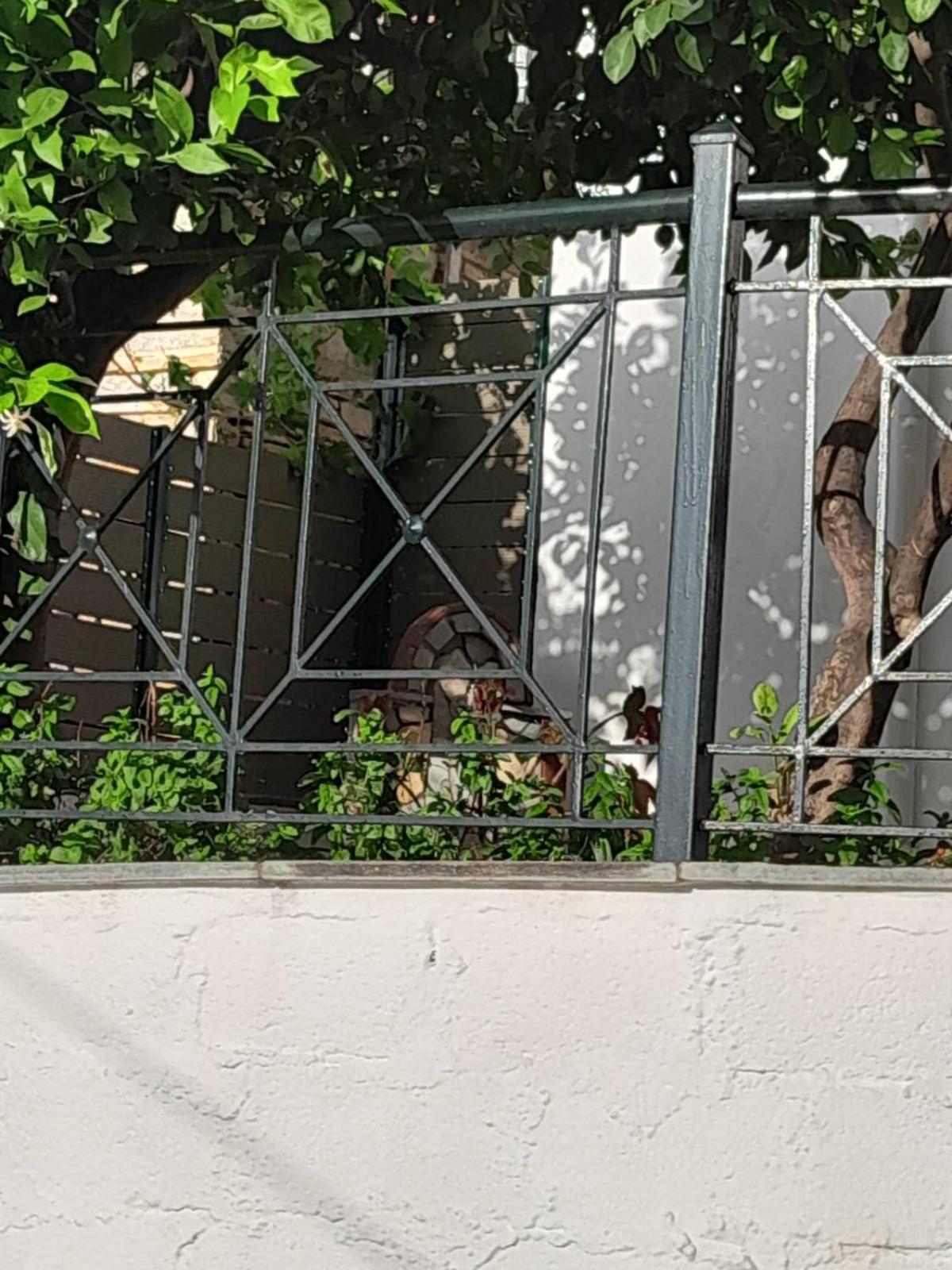 Πηλιο- Το Εξοχικο Τησ Αννασ- Αφησσοσ Villa Афисос Екстериор снимка